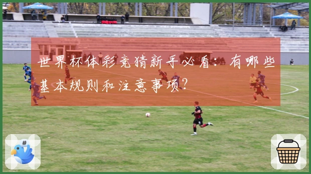 世界杯体彩竞猜新手必看：有哪些基本规则和注意事项？